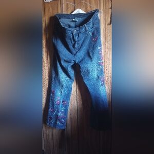 Diane Gilman 2 Women's Blue Jeans with Burgundy&Pink Floral Butterfly Embroidery